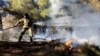A firefighter struggles to extinguish a forest fire at Keratea, southeast of Athens, Greece, June 30, 2024.