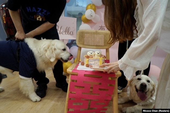 The wedding cake for the "newlyweds" sits atop a traditional marriage "double happiness" paper cutout, June 29, 2024. (REUTERS/Nicoco Chan)