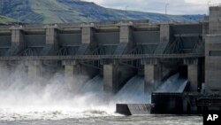 FILE — The Lower Granite Dam on the Snake River near Almota, Wash., April 11, 2018. The U.S. government said Dec. 14, 2023, that it plans to spend more than $1 billion over the next decade to help recover depleted populations of salmon in the Pacific Northwest.
