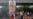 Bangladesh prime minister resigns, flees to India