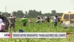 Nueva ley migratoria de Florida atemoriza a trabajadores del campo