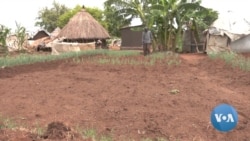 Aid Cuts, Climate Change Hit South Sudanese Refugees in Uganda 