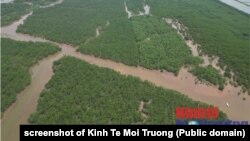 Một phần khu bảo tồn Tiền Hải, tỉnh Thái Bình.