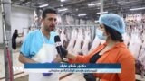 گرتنەبەری ڕێکاری تەندروستی توند لە کوشتارگەی سلێمانی