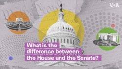 What are the roles of the US House and Senate?
