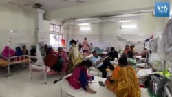 ডেঙ্গু রোগী সামলাতে হিমশিম খাচ্ছে হাসপাতালগুলো 