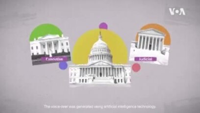 What are the roles of the US House and Senate?
