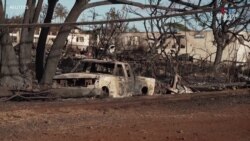 Բայդենը կայցելի Հավայան կղզիներ՝ անտառային հրդեհների վնասը գնահատելու համար_1.mp4