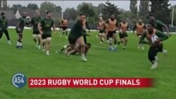 South Africa, New Zealand Face Off at Rugby World Cup