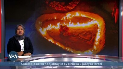 Xeebta Liido iyo xuusaha jaceyl ee lamaanaha 