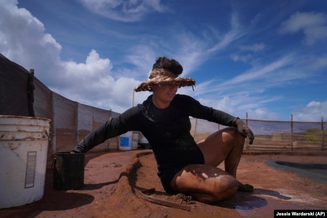 Tina Taniguchi prepares one of her family's many salt beds by rubbing it with a smooth river rock on July 10, 2023, in Hanapepe, Hawaii. (AP Photo/Jessie Wardarski)