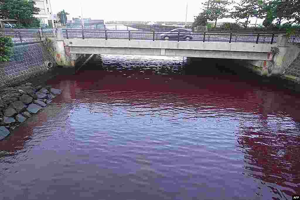 This handout photo from the 11th Regional Coast Guard Headquarters shows a river dyed red after coolant used in beer-making equipment leaked into the water from a nearby brewery in Nago, Japan. (AFP/The 11th Regional Coast Guard Headquarters)