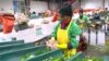 Productores ecuatorianos de flores destacan incremento de exportaciones por Día de la Madre