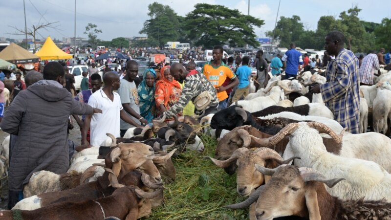 Cameroun : la fête du mouton à l'épreuve des difficultés financières