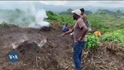 Deforestation in Eastern DRC