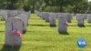 Memorial Day Weekend Events in Washington Honor Soldiers' Ultimate Sacrifice 