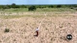 World Food Program: Zimbabwe's Food Insecurity Is Worsening 