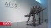 New York: Stegosaurus star 161 milion godina za 4 do 6 miliona dolara