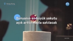 Dünyanın En Büyük Yakutu Açık Arttırmayla Satılacak 