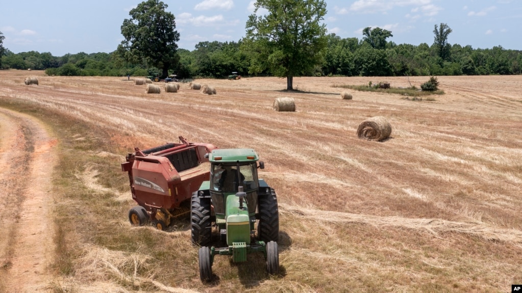 美国农民小约翰·博伊德在他在弗吉尼亚州的农场里捆压干草。（2021年5月27日）(photo:VOA)