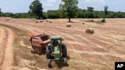 美国农民小约翰·博伊德在他在弗吉尼亚州的农场里捆压干草。（2021年5月27日）