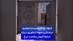 انتقاد یک فروشنده از اتحادیه مرغداران و جهاد کشاورزی درباره شرایط فروش و قیمت مرغ