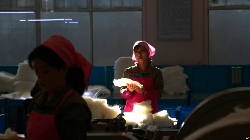 资料照片：平壤金正淑丝绸厂的女工。(2019年11月26日)(photo:VOA)