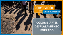 Violencia y desigualdad social, el caldo de cultivo del desplazamiento en Colombia