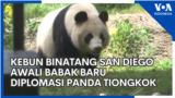 Kebun Binatang San Diego Awali Babak Baru "Diplomasi Panda" Tiongkok