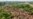 Cómo logró Colombia alcanzar una cifra histórica de reducción de la deforestación