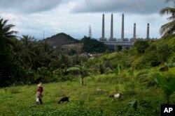 A woman leads her goats as Suralaya coal power plant looms in the background in Cilegon, Indonesia, Sunday, Jan. 8, 2023. (AP Photo/Dita Alangkara)