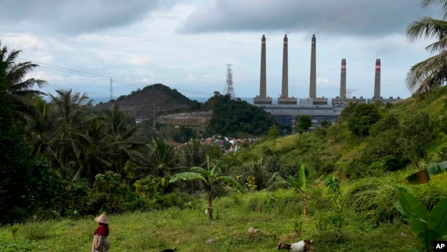 A woman leads her goats as Suralaya coal power plant looms in the background in Cilegon, Indonesia, Sunday, Jan. 8, 2023. (AP Photo/Dita Alangkara)