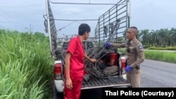 မလေးရှားသွားဖို့ ကြိုးပမ်းသူ အထောက်အထားမဲ့ မြန်မာတချို့ ထိုင်းမှာဖမ်းဆီးခံရ (သြဂုတ် ၂၊ ၂၀၂၃)