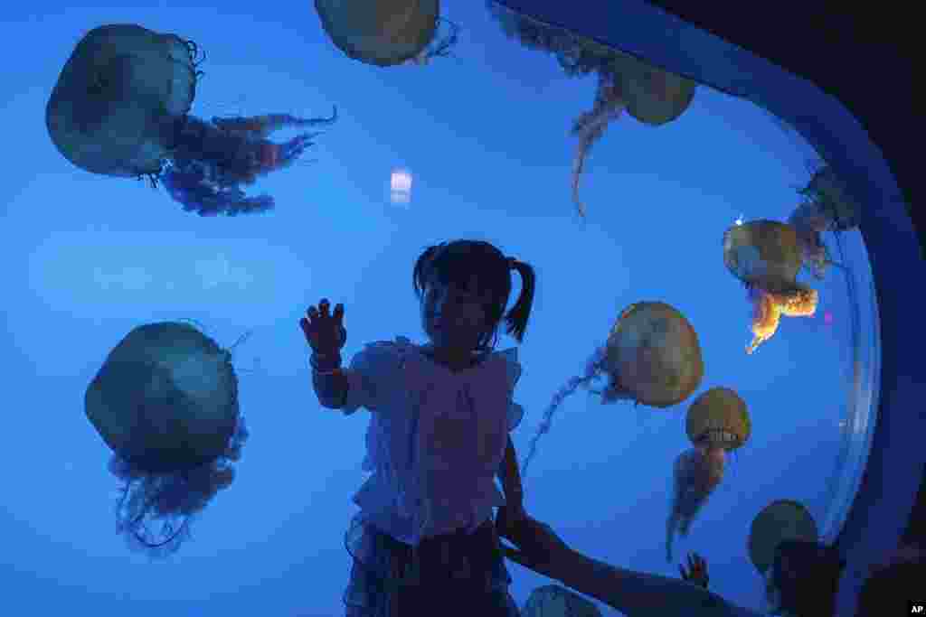 A child reacts near a display of jellyfish at an underwater park on Children's Day in Beijing. Children's Day is celebrated on June 1 in Communist and post-communist countries. 