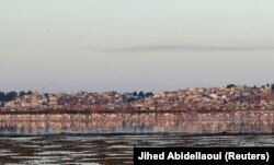 Flamingo terlihat di laguna Sijoumi yang hampir kering di Tunis, Tunisia 10 Agustus 2023. (Foto: REUTERS/Jihed Abidellaoui)