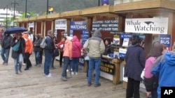 FILE - Tourists stop at booths along the sea walk on June 12, 2023, in downtown Juneau, Alaska, where they can book activities to do while they're in town.