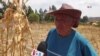 Bolivia en alerta por extrema sequía 