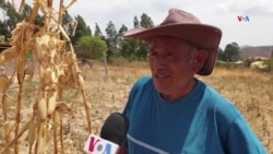 Bolivia en alerta por extrema sequía 