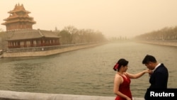 Sepasang pengantin melakukan pemotretan pernikahan mereka di dekat Kota Terlarang, Beijing, China, saat kota itu dilanda badai pasir, 15 Maret 2021. (REUTERS/Tingshu Wang)