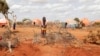 صومالیہ میں بھوک کے خلاف عالمی پیمانے پرجنگ