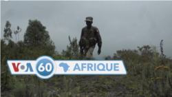 VOA60 Afrique : RDC, Burkina, Guinée, Zimbabwe