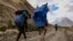 Sejumlah porter asal Pakistan mengangkut barang bawaan pendaki di jalur pendakian antara Askole dan K2, yang merupakan gunung tertinggi kedua di dunia, do Gilgit, Pakistan, pada 10 Juli 2023. (Foto: AFP/Joe Stenson)
