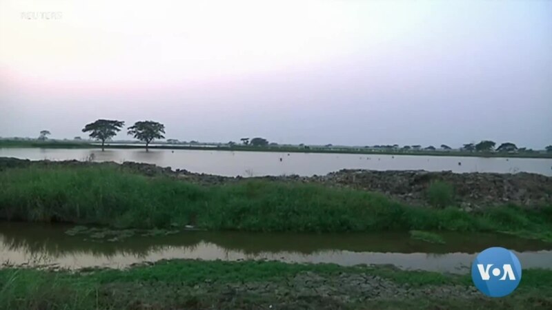 Industri pertanian Myanmar terkena dampak Topan Mokha