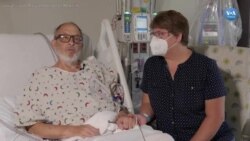 ABD'de domuzdan insana ikinci kalp nakli gerçekleştirildi