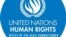 BMT-nin İnsan Hüquqları üzrə Ali Komissarlığı (emblem) 