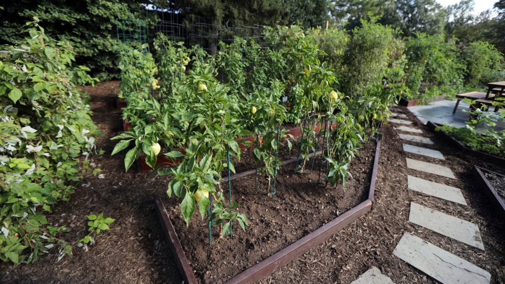 Do Not Hurry to ‘Spring Clean’ Garden