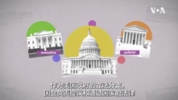 2024 美国总统大选 --美国的国会两院制度