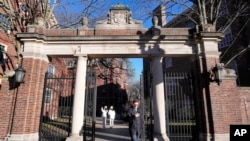 FILE - A passer-by walks through a gate to the Harvard University campus, in Cambridge, Massachusetts, Jan. 2, 2024. 