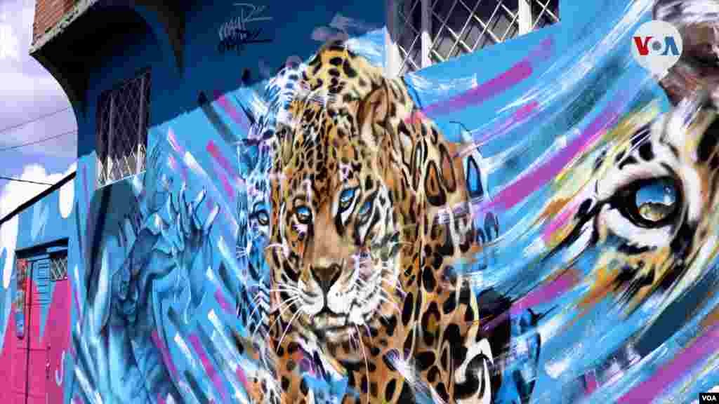 Un inmenso mural con la imagen de un Jaguar en una casa en Ciudad Bolívar, una de las obras del artista May, que junto con Luisa, es el&nbsp; el creador, la mayoría de los murales que se pueden apreciar durante el recorrido por esta barriada en Bogotá. FOTO: Johan Reyes, VOA.&nbsp;&nbsp;&nbsp;
