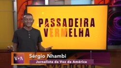 Passadeira Vermelha #165: A exposição do artista Beninense Georges Adéagbo, inspirada em Lincoln